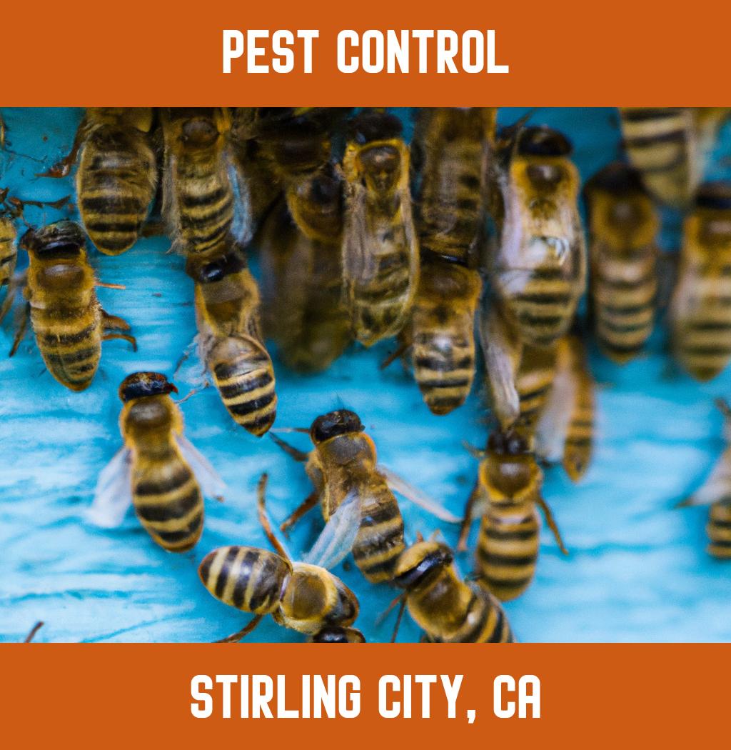 pest control in Stirling City California