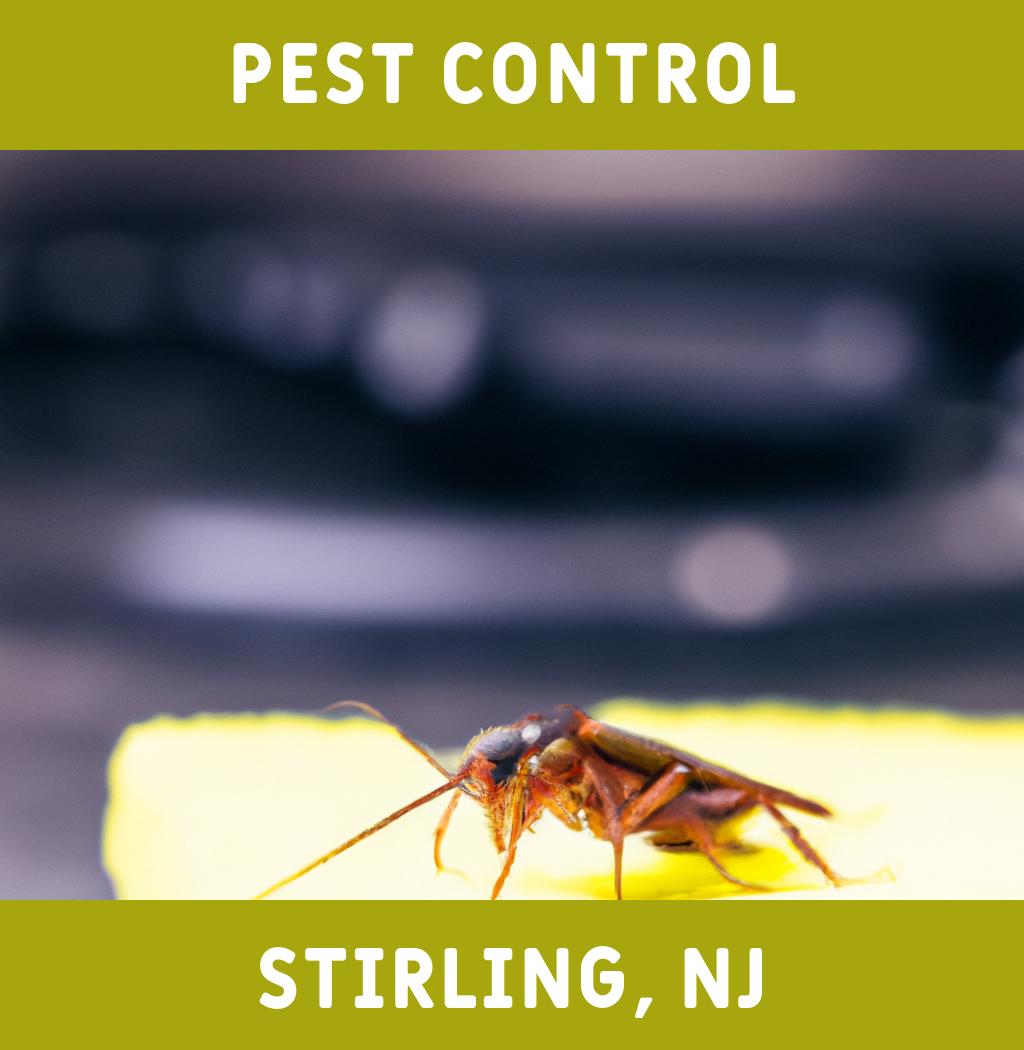 pest control in Stirling New Jersey