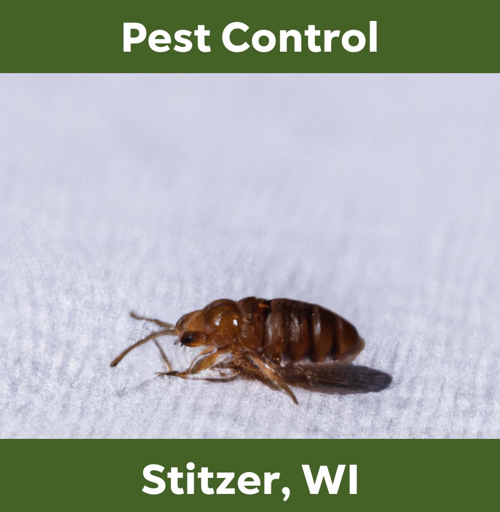 pest control in Stitzer Wisconsin