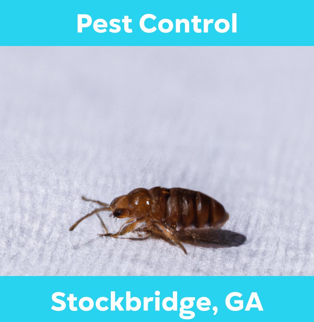 pest control in Stockbridge Georgia