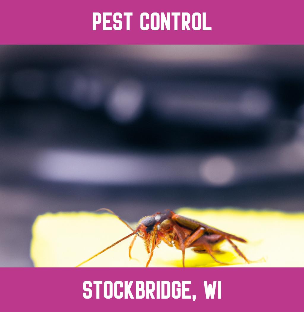 pest control in Stockbridge Wisconsin