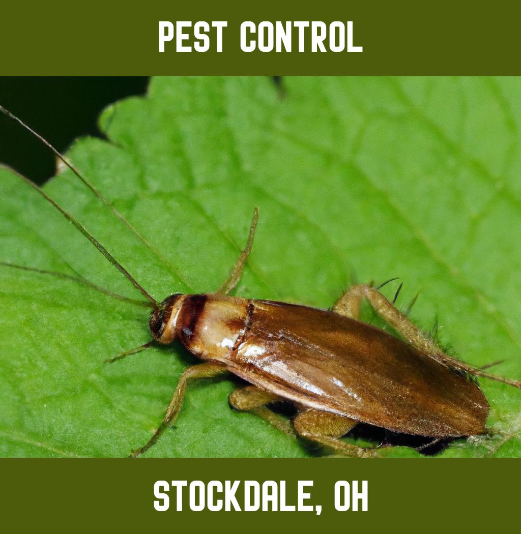 pest control in Stockdale Ohio