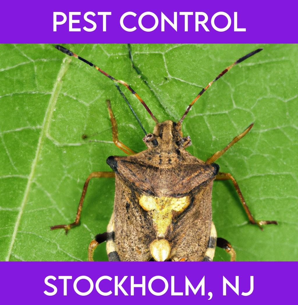 pest control in Stockholm New Jersey