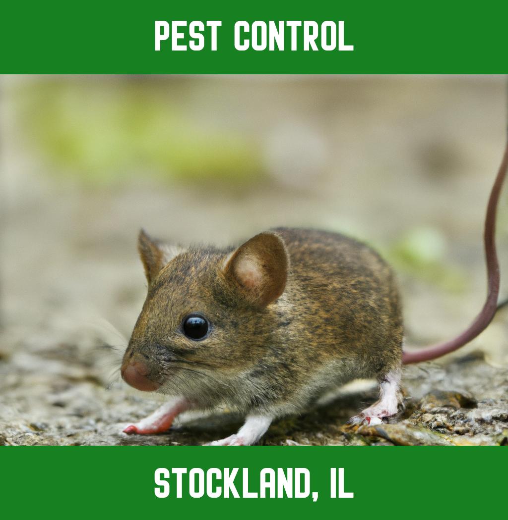 pest control in Stockland Illinois