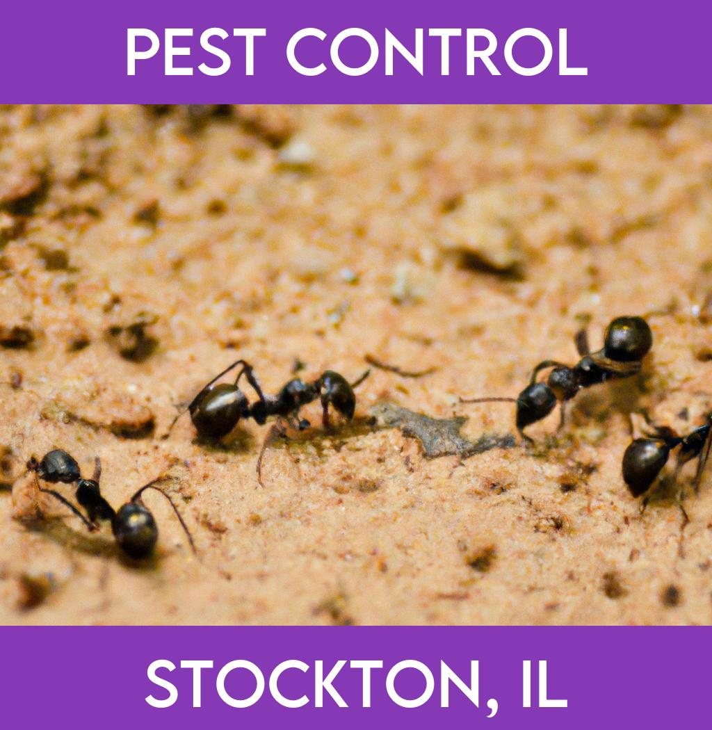 pest control in Stockton Illinois
