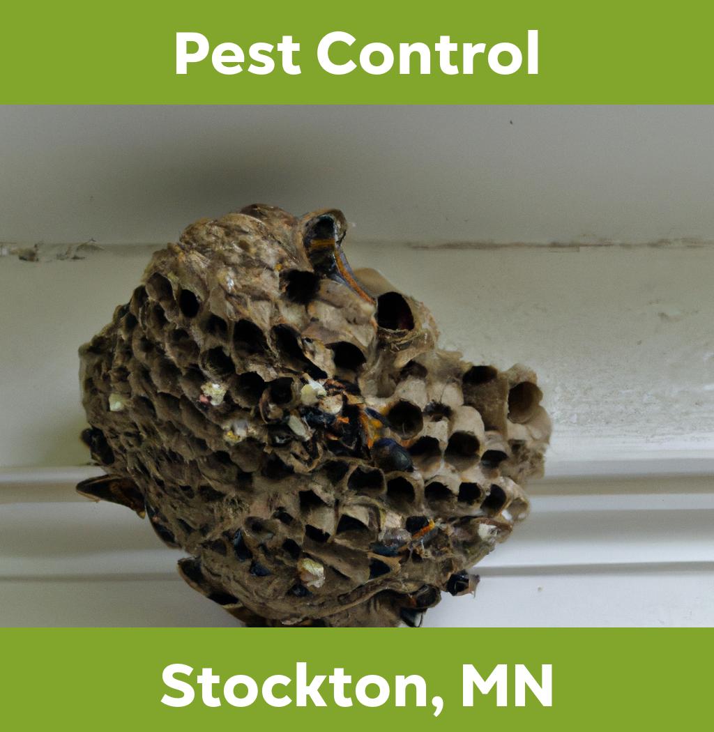 pest control in Stockton Minnesota