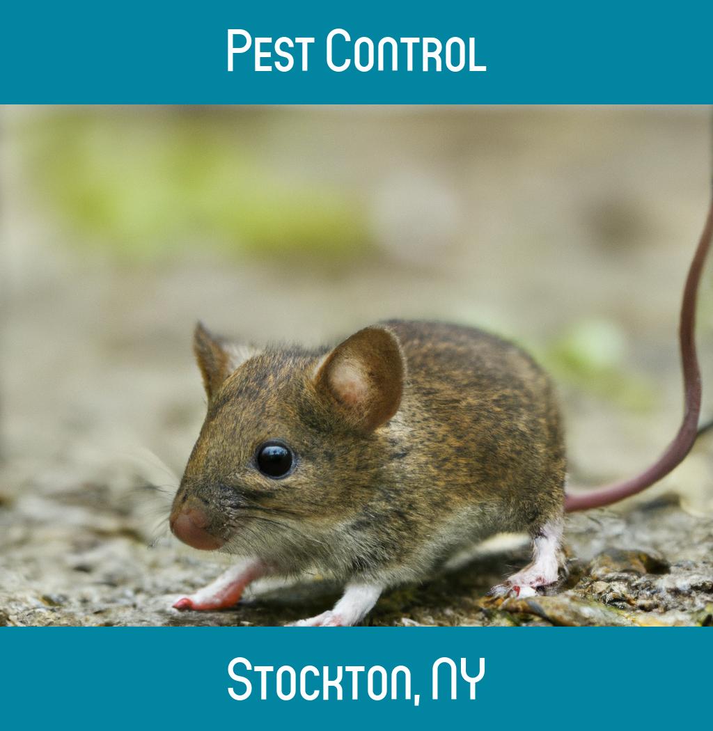 pest control in Stockton New York