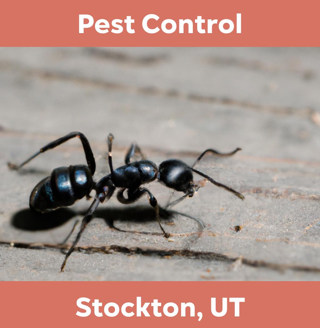 pest control in Stockton Utah