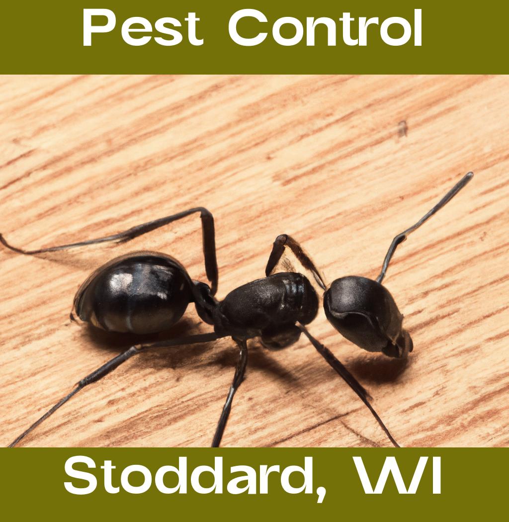 pest control in Stoddard Wisconsin