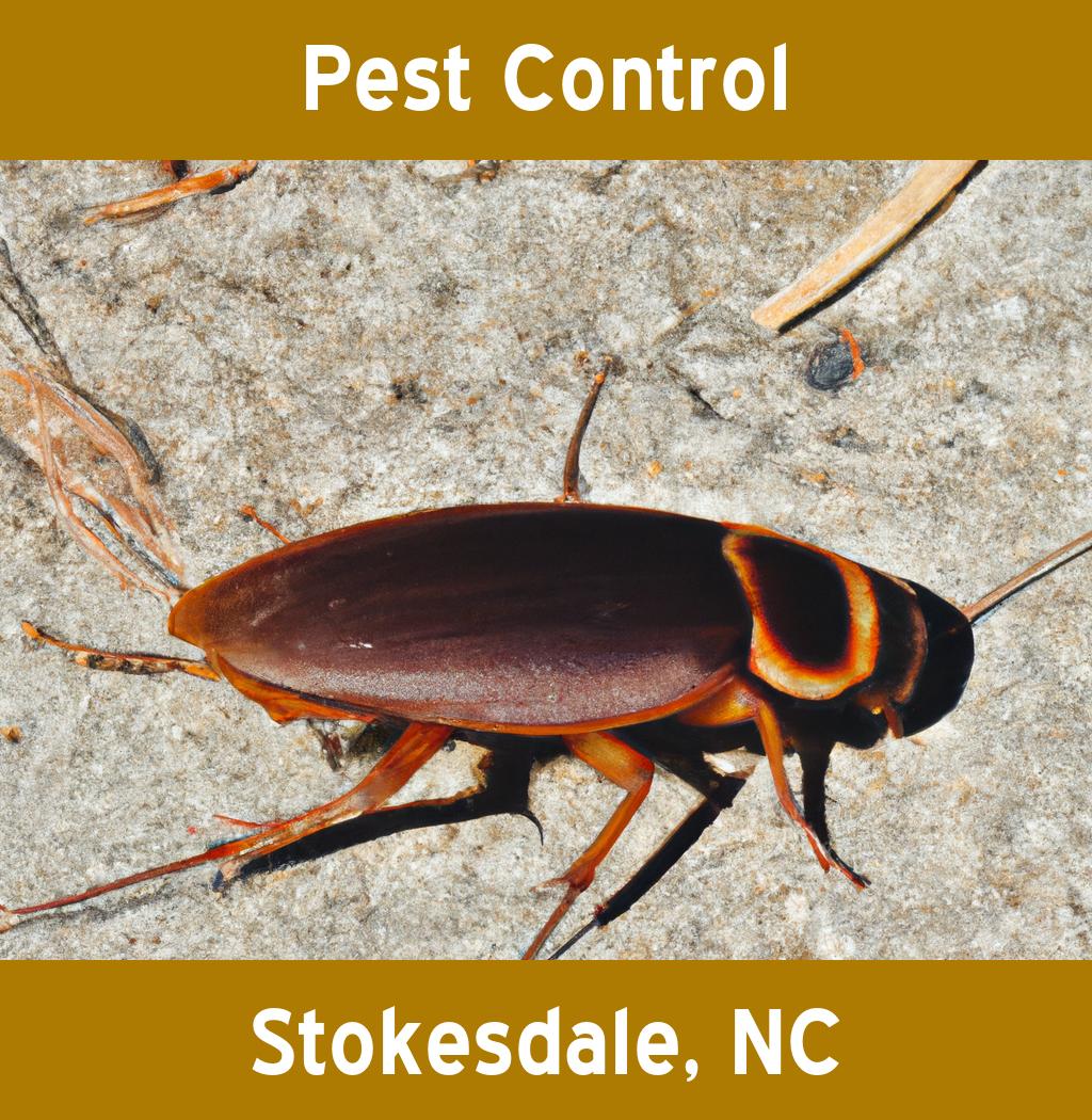 pest control in Stokesdale North Carolina