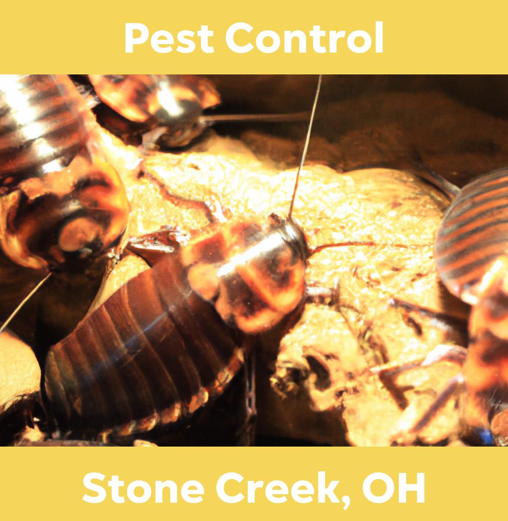 pest control in Stone Creek Ohio