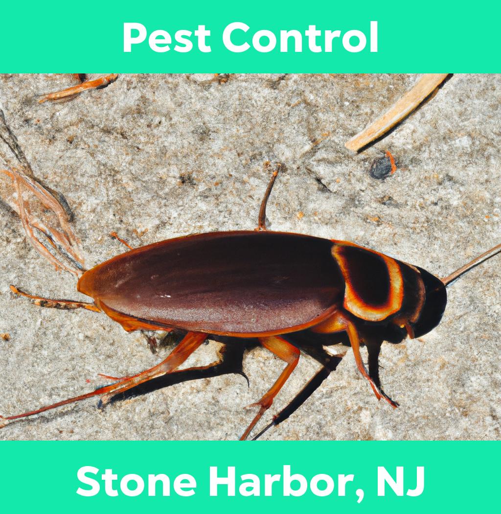 pest control in Stone Harbor New Jersey