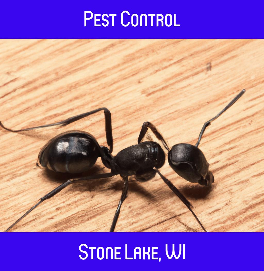 pest control in Stone Lake Wisconsin