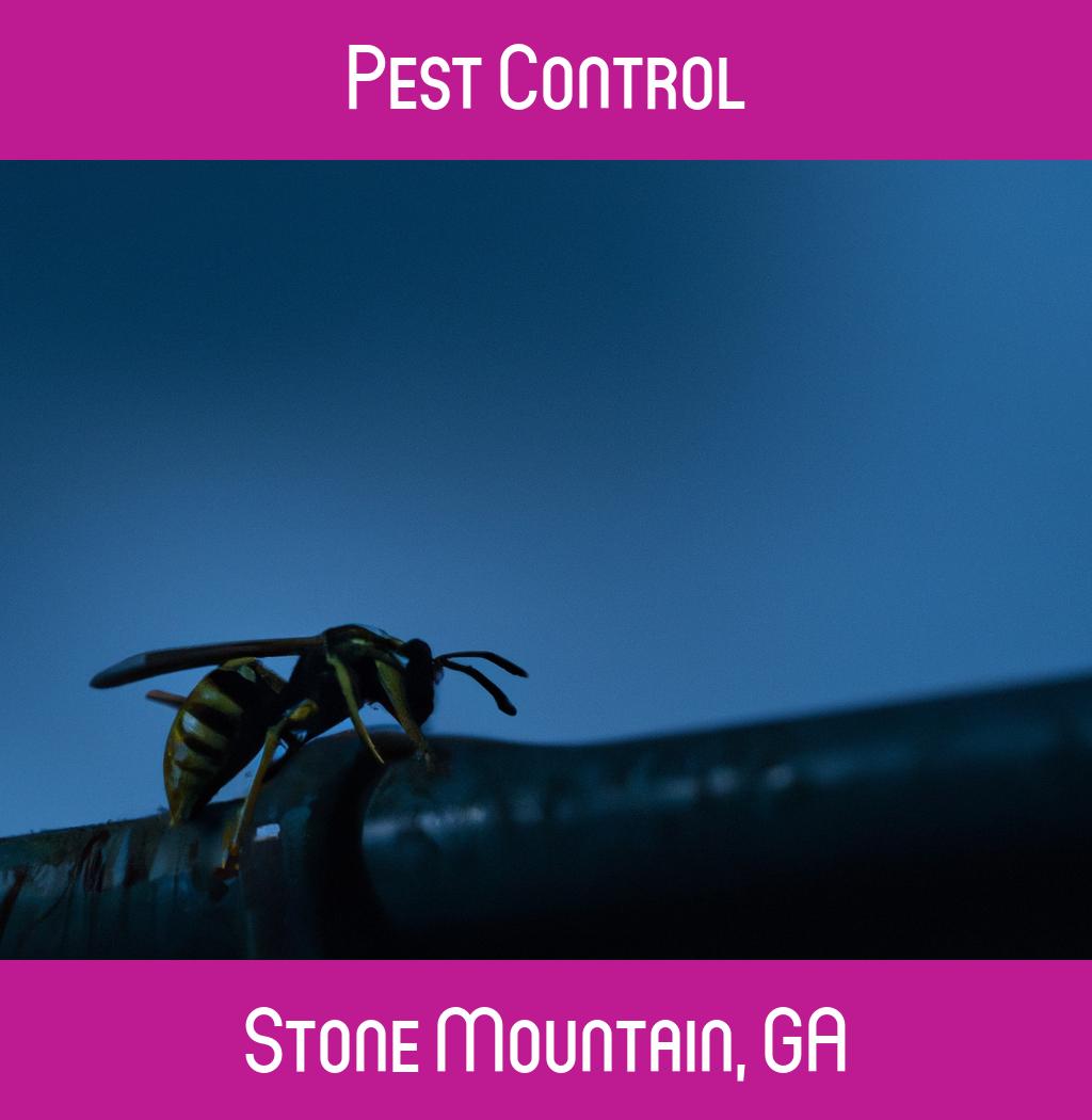 pest control in Stone Mountain Georgia