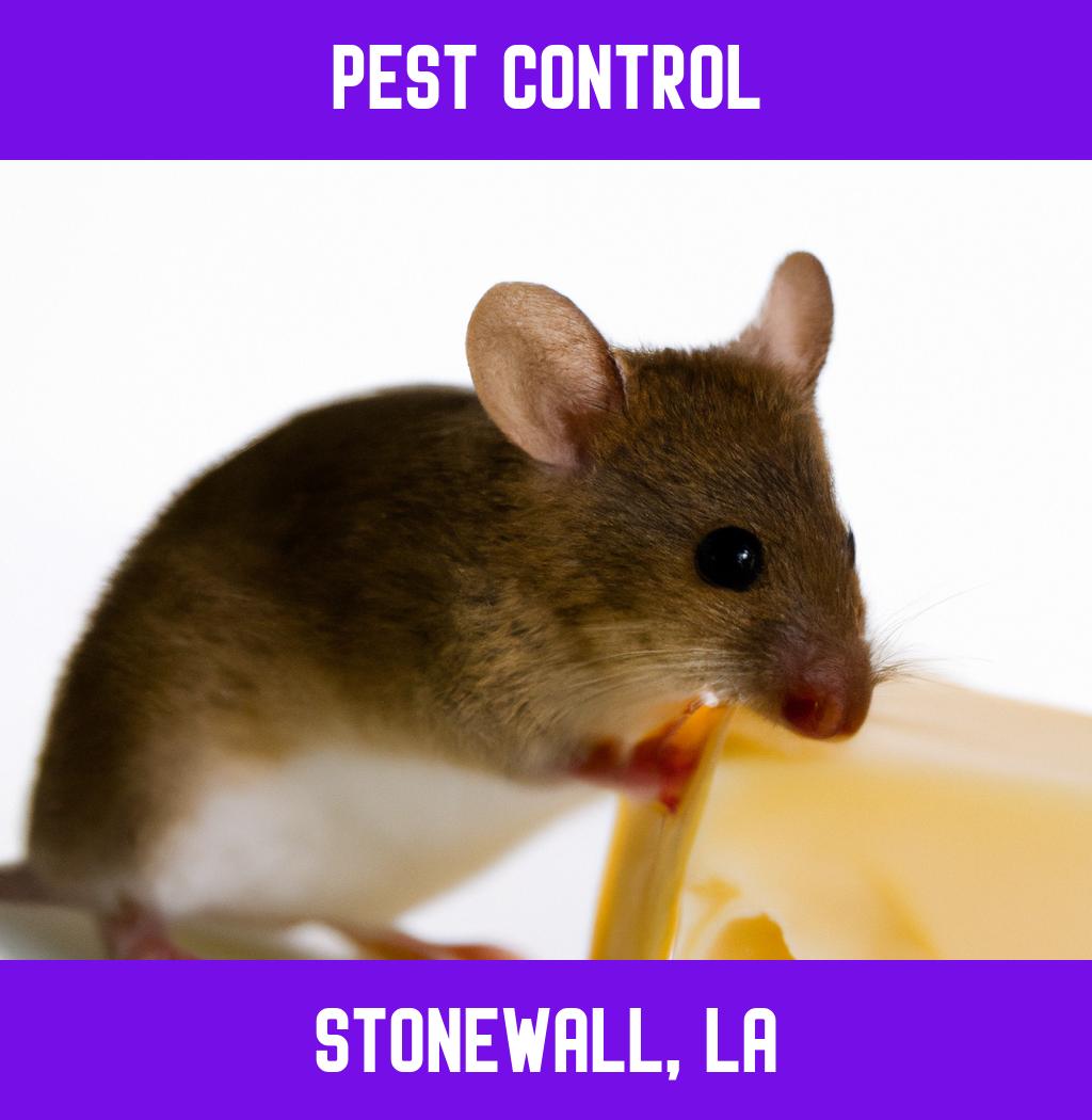 pest control in Stonewall Louisiana