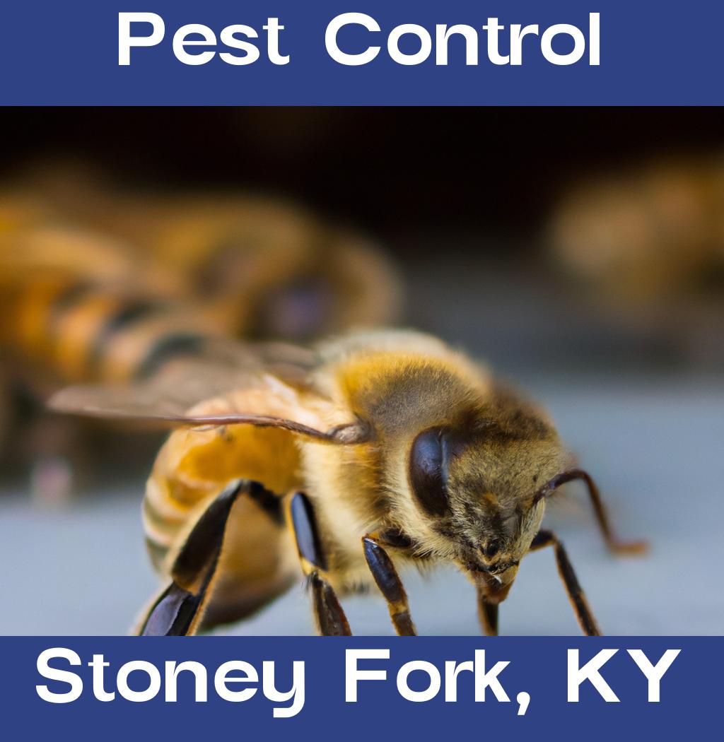 pest control in Stoney Fork Kentucky