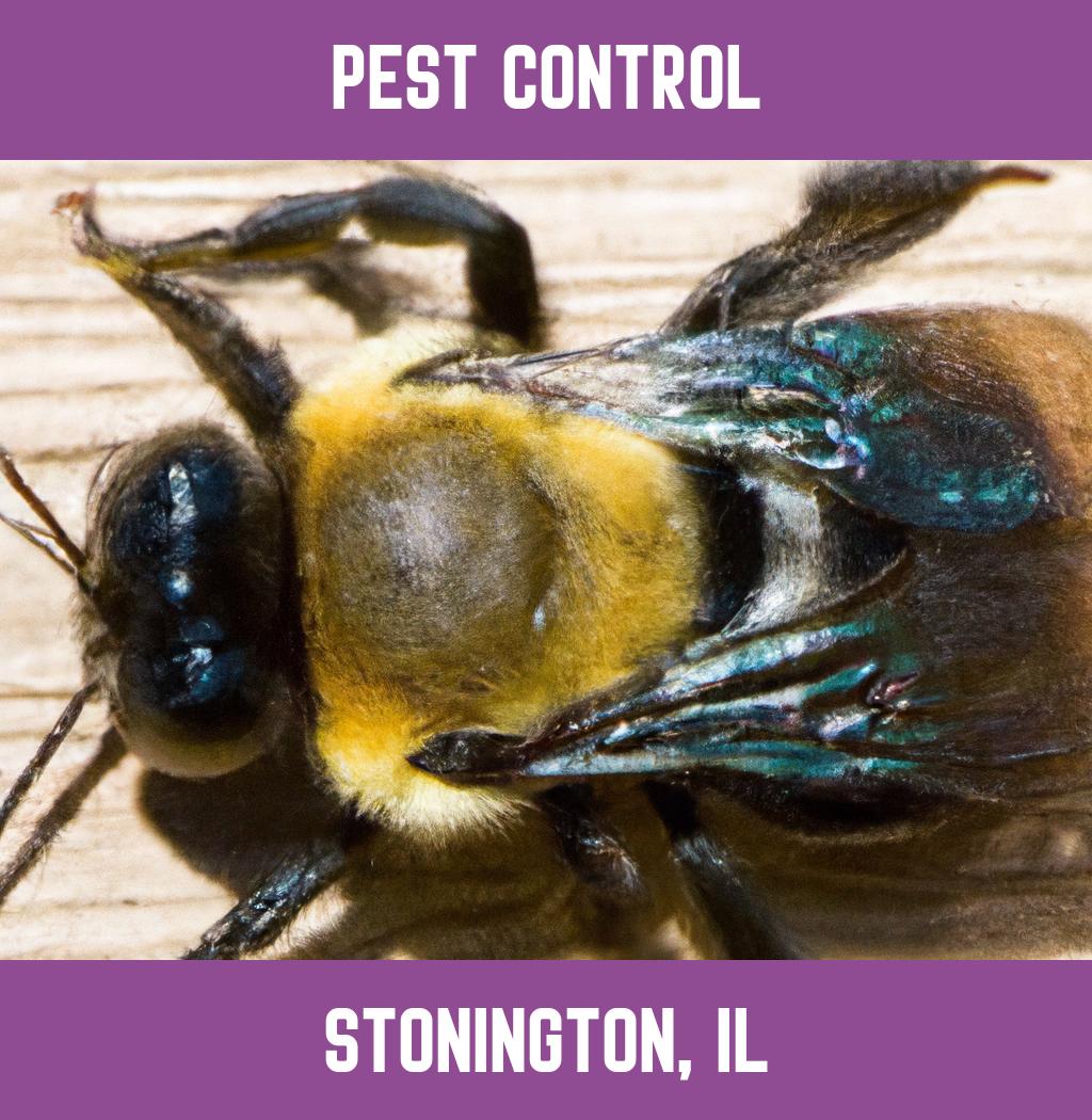 pest control in Stonington Illinois