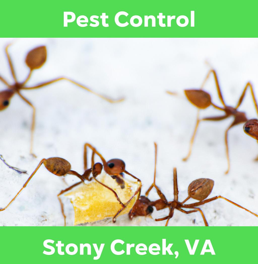 pest control in Stony Creek Virginia