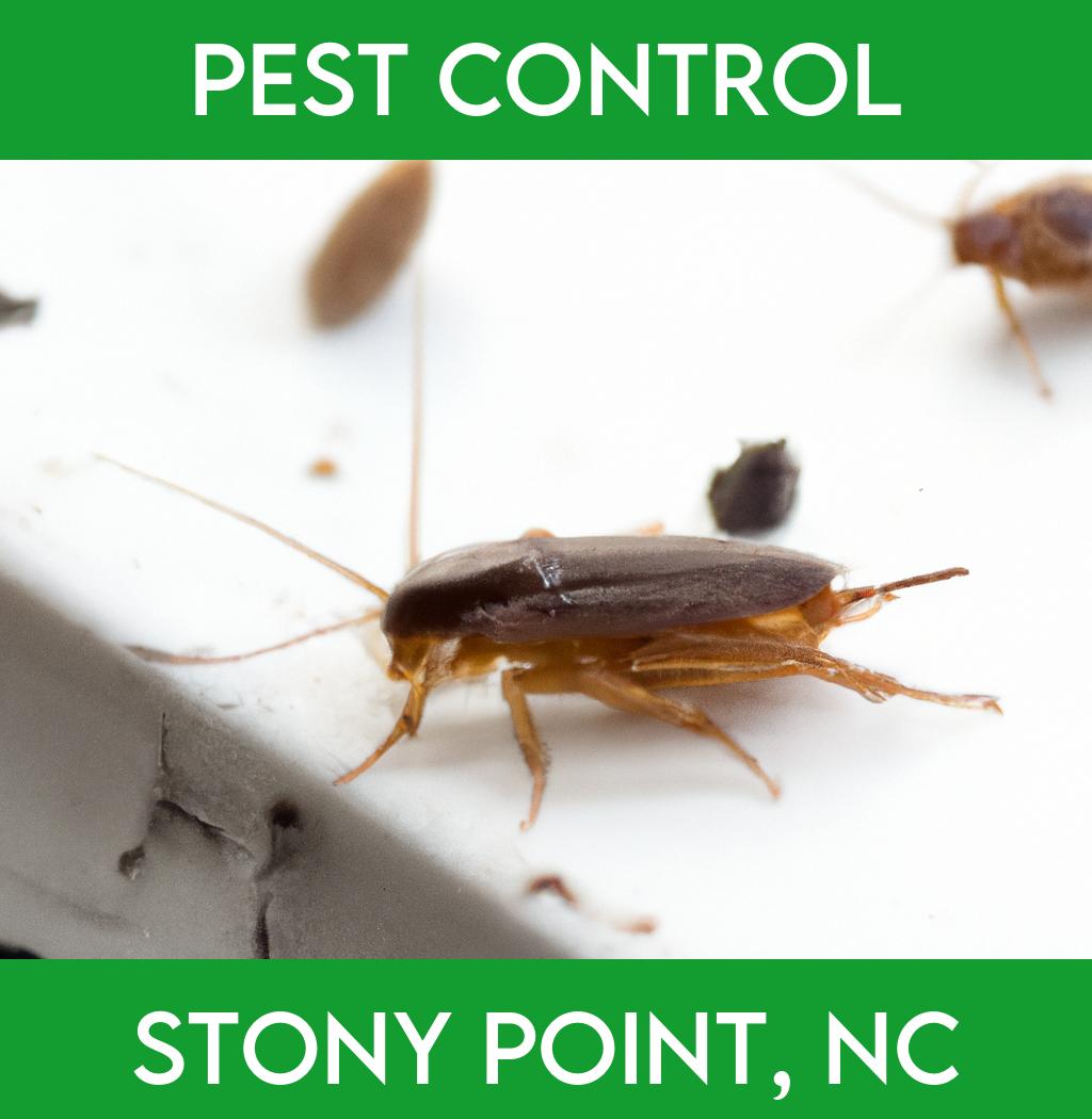 pest control in Stony Point North Carolina