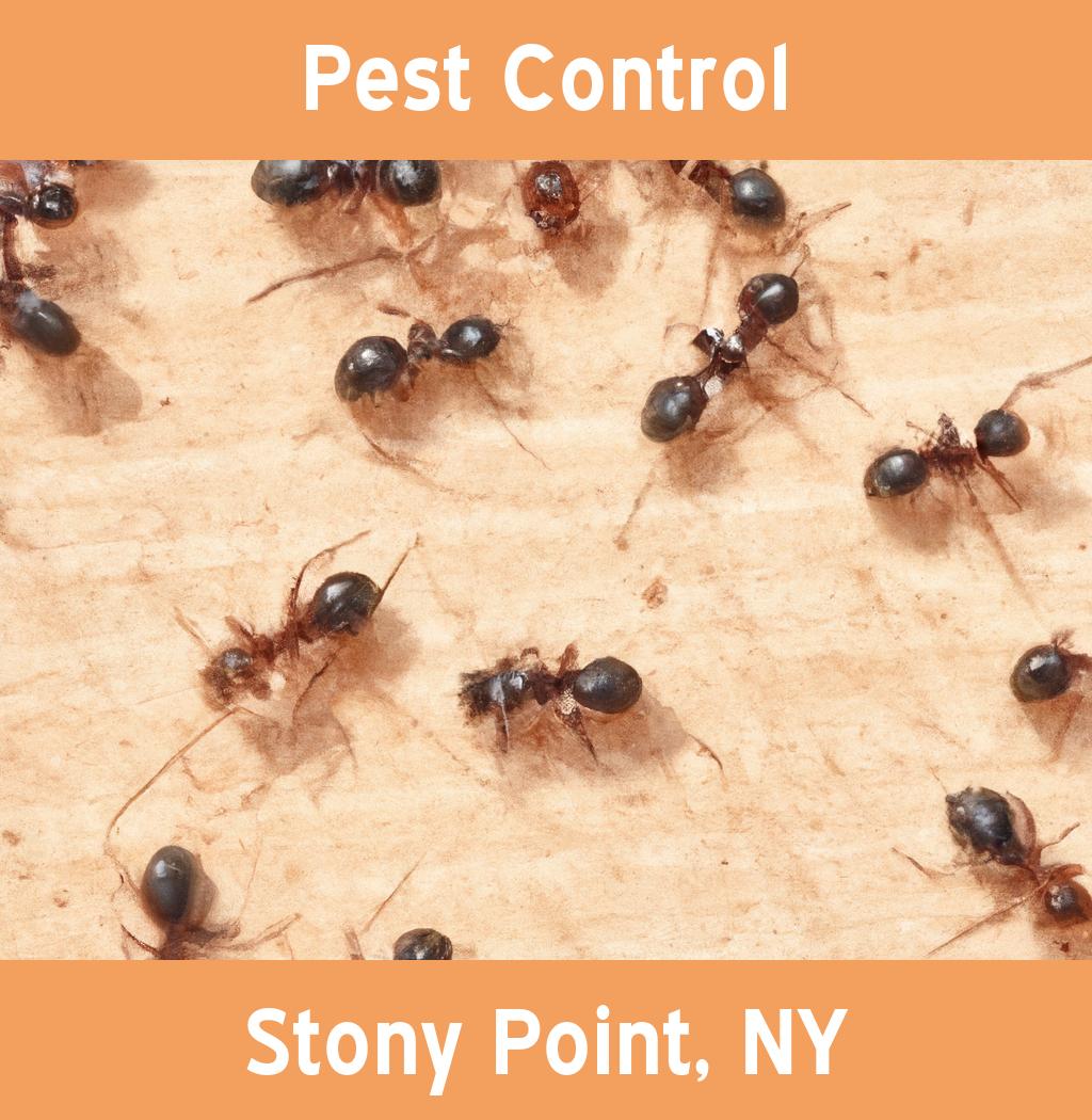 pest control in Stony Point New York