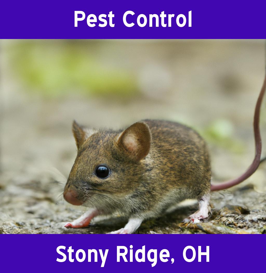 pest control in Stony Ridge Ohio