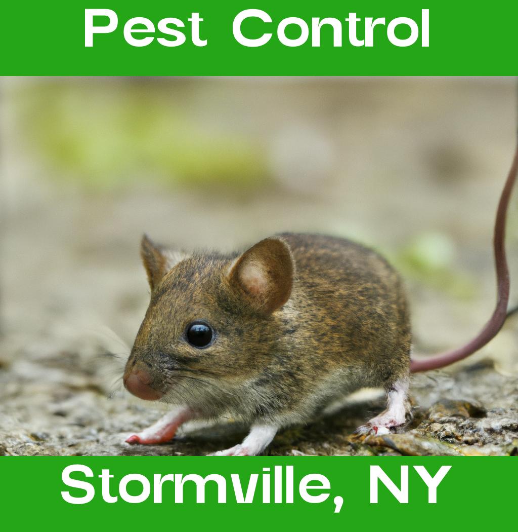 pest control in Stormville New York