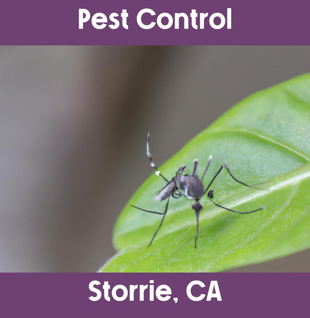 pest control in Storrie California