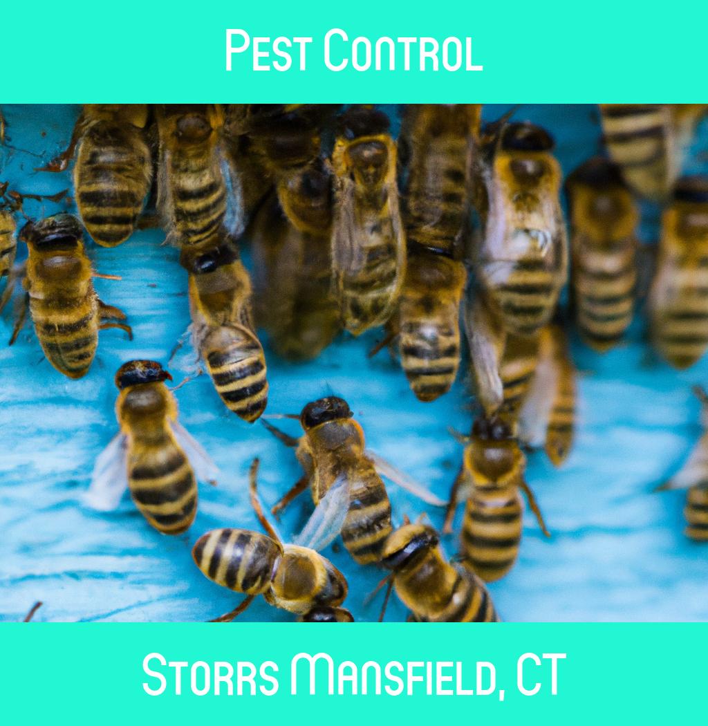 pest control in Storrs Mansfield Connecticut
