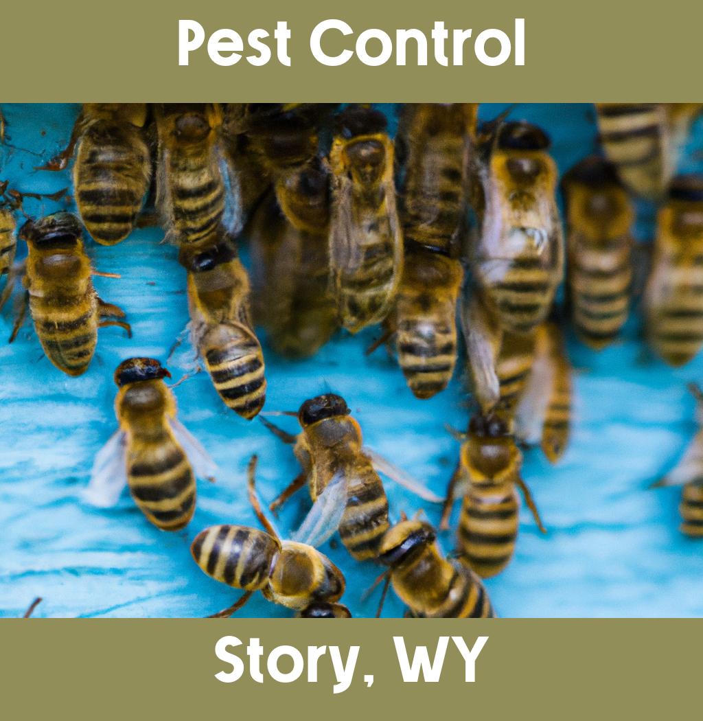 pest control in Story Wyoming