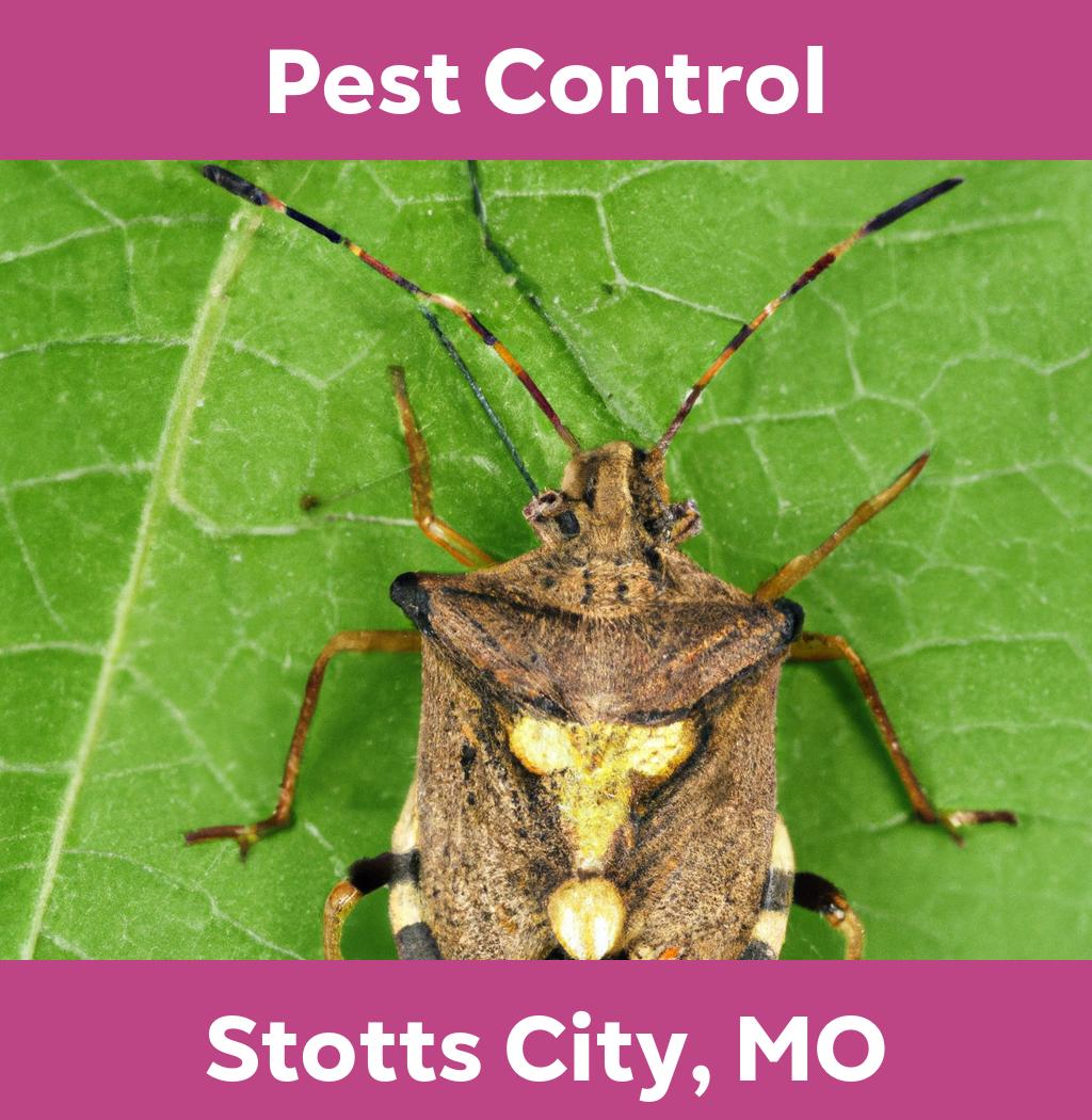 pest control in Stotts City Missouri