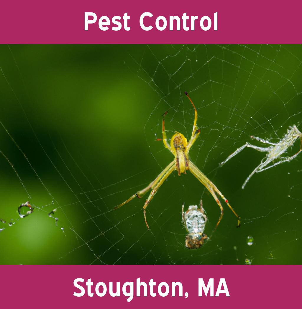 pest control in Stoughton Massachusetts