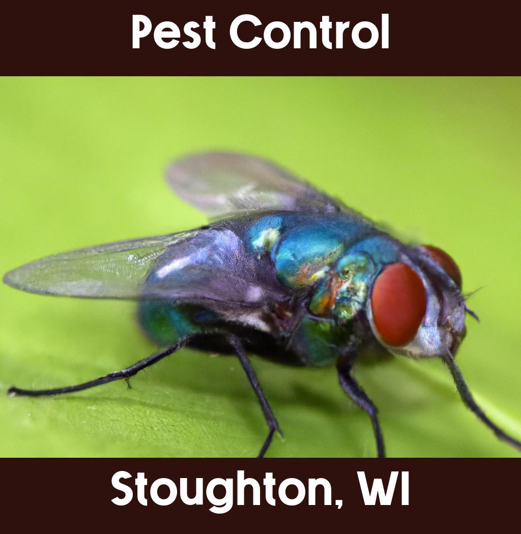 pest control in Stoughton Wisconsin