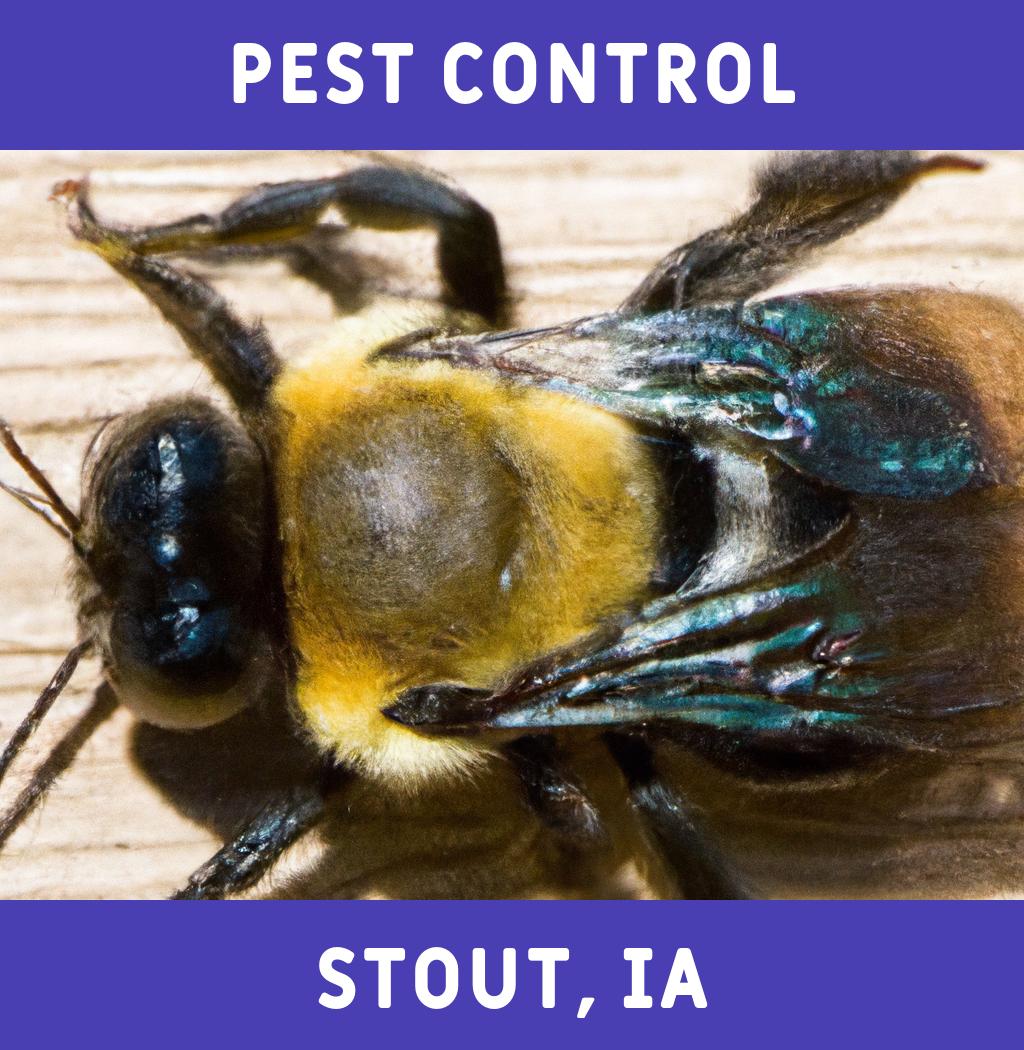 pest control in Stout Iowa