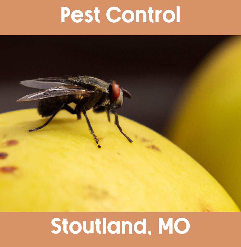 pest control in Stoutland Missouri