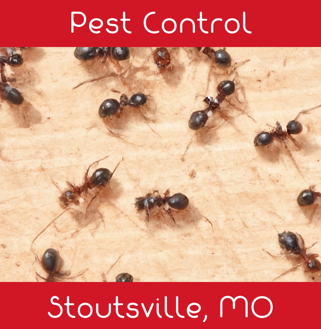 pest control in Stoutsville Missouri