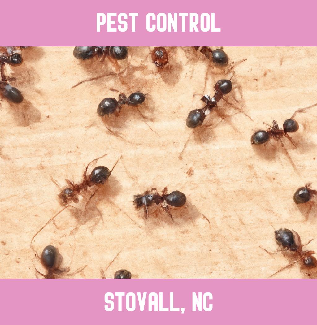 pest control in Stovall North Carolina