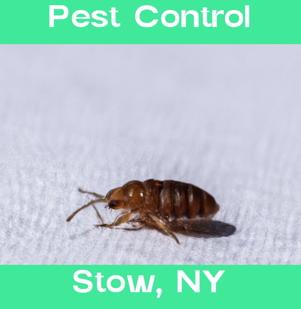 pest control in Stow New York