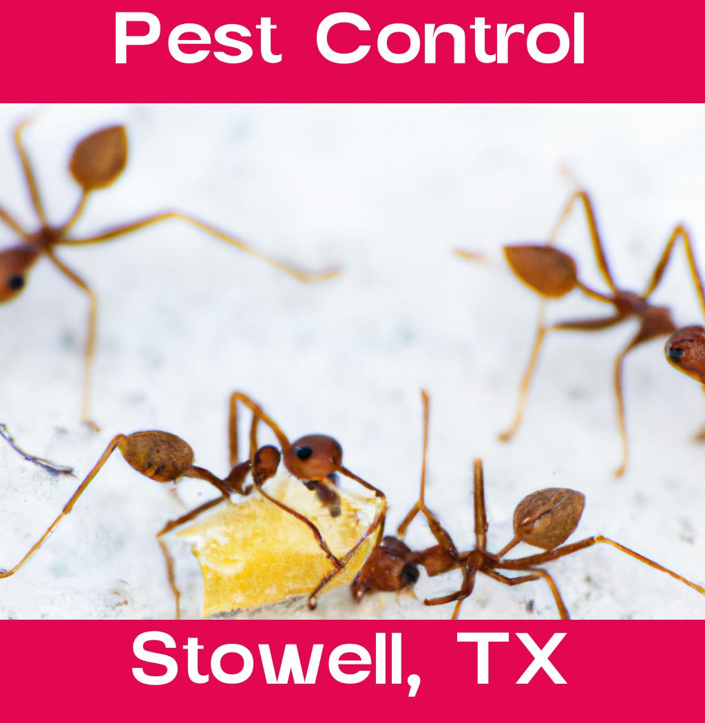 pest control in Stowell Texas