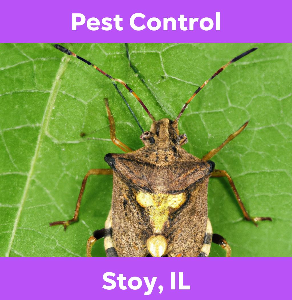 pest control in Stoy Illinois