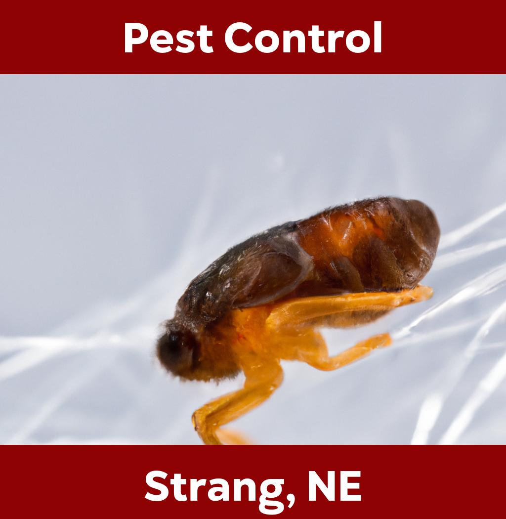 pest control in Strang Nebraska