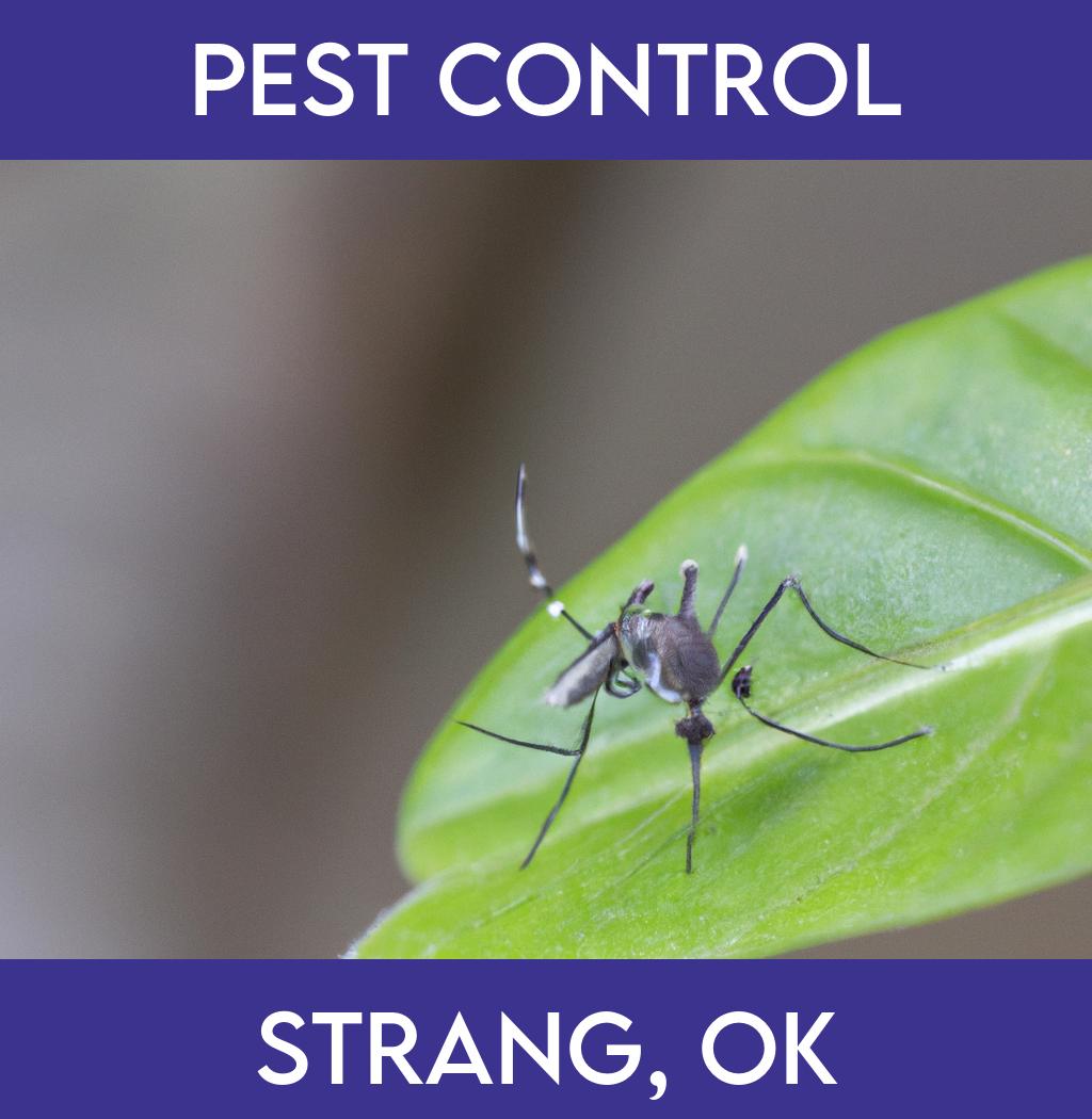 pest control in Strang Oklahoma