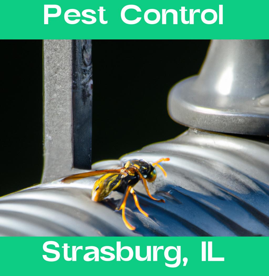 pest control in Strasburg Illinois