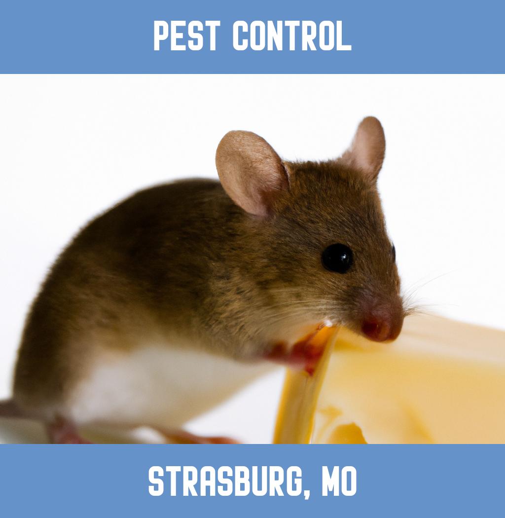 pest control in Strasburg Missouri