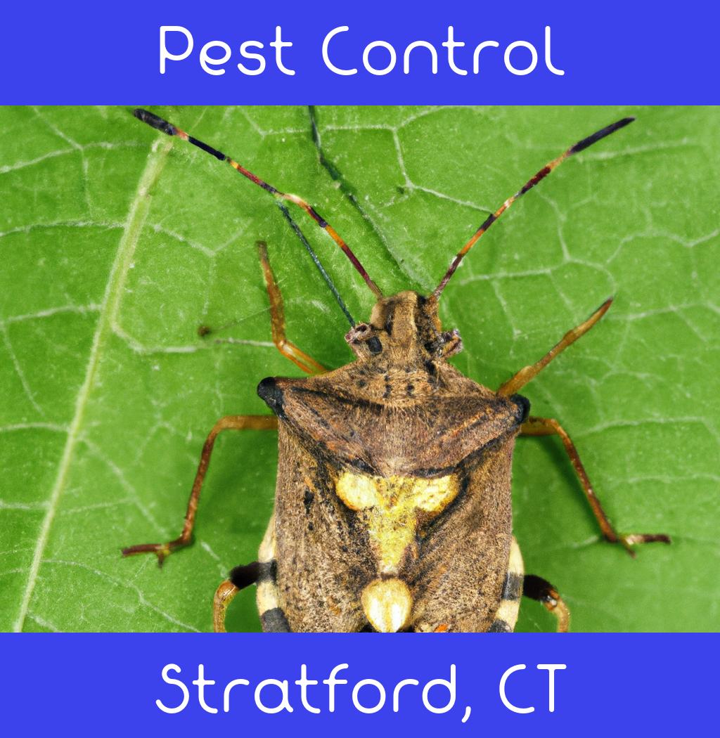 pest control in Stratford Connecticut