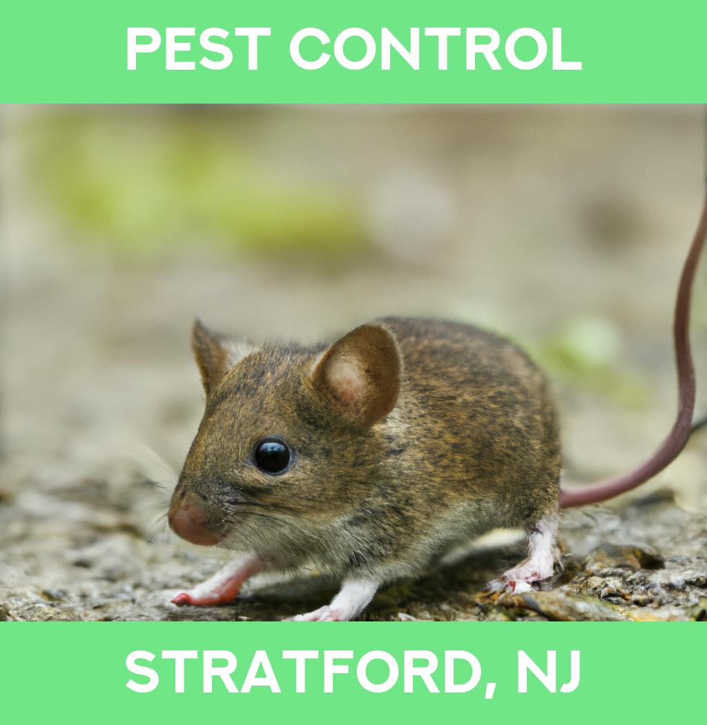 pest control in Stratford New Jersey