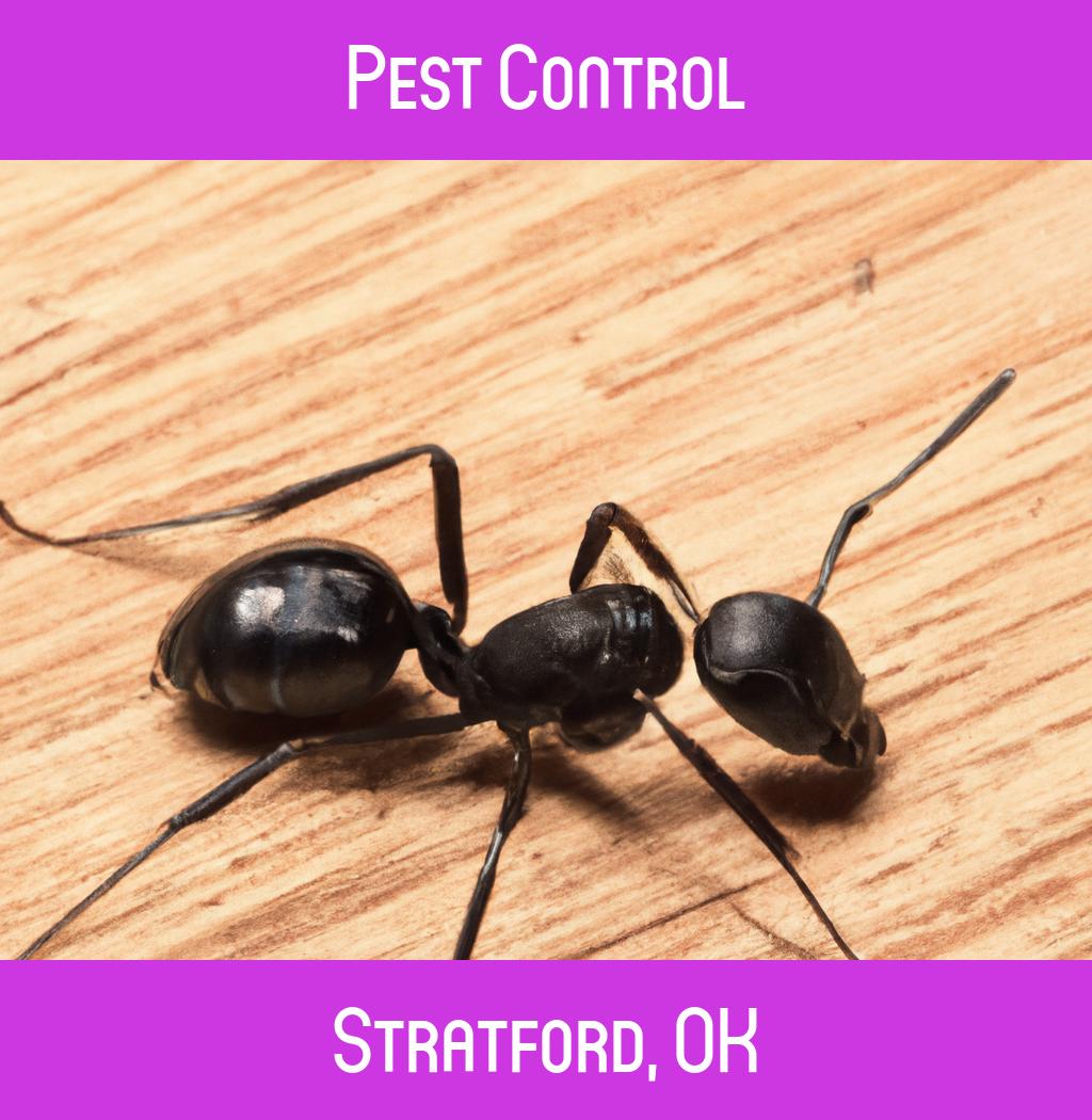 pest control in Stratford Oklahoma