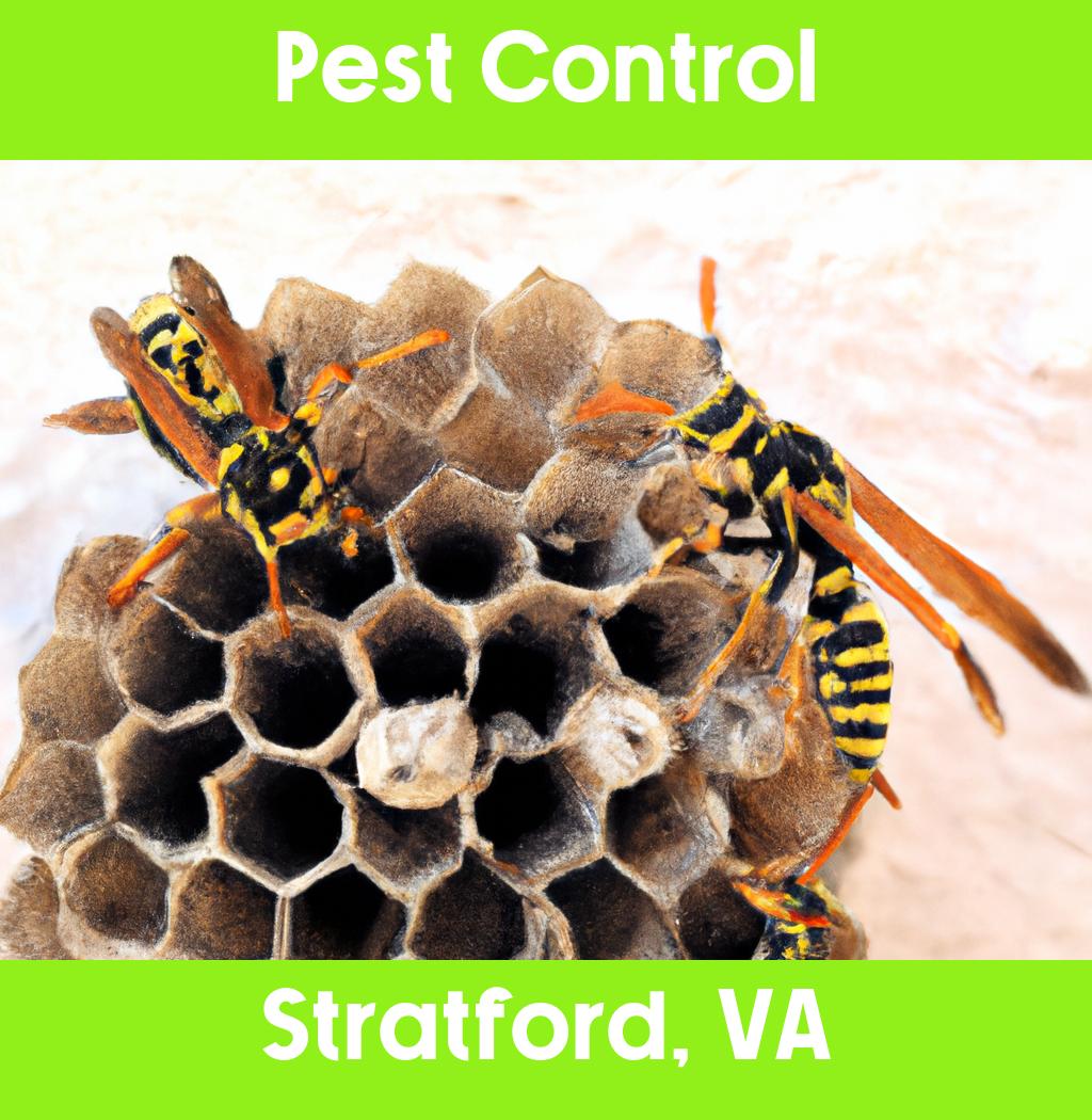 pest control in Stratford Virginia