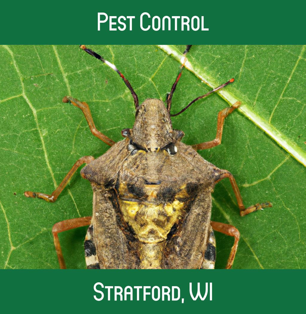 pest control in Stratford Wisconsin