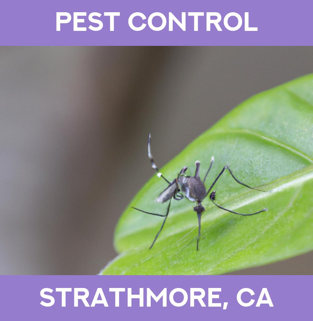 pest control in Strathmore California