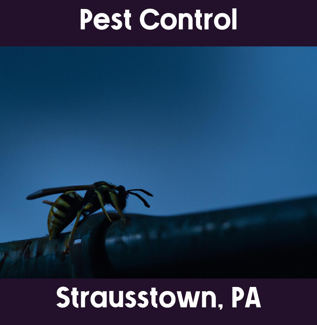 pest control in Strausstown Pennsylvania